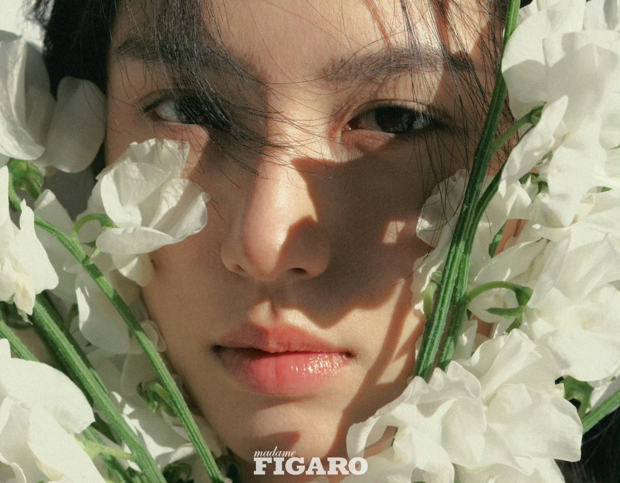 周也费加罗二月刊 周也清冷系天花板！白衫黑长直造型封神，干净高级，每一张都美到让