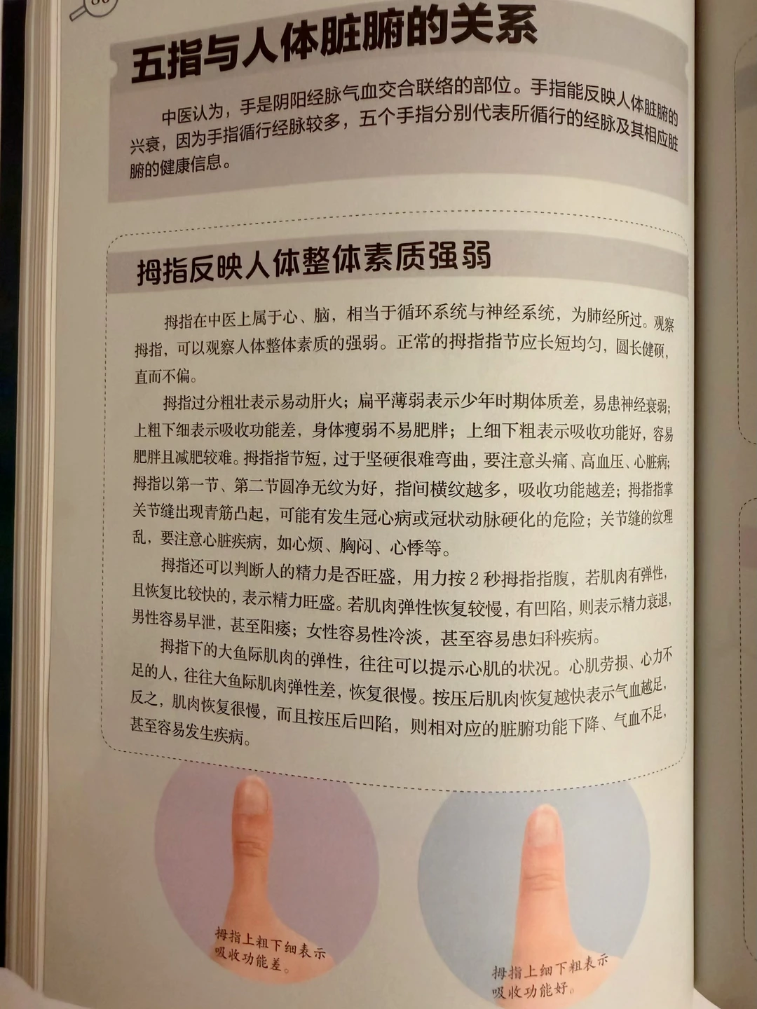拇指反映人体整体素质强弱