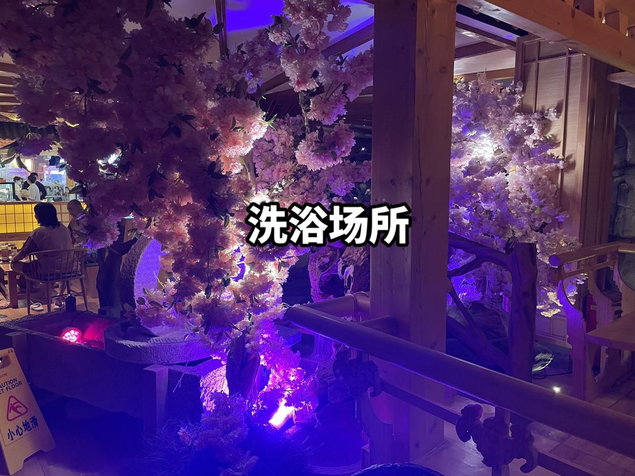 干净又卫生啊！家人们，来吧