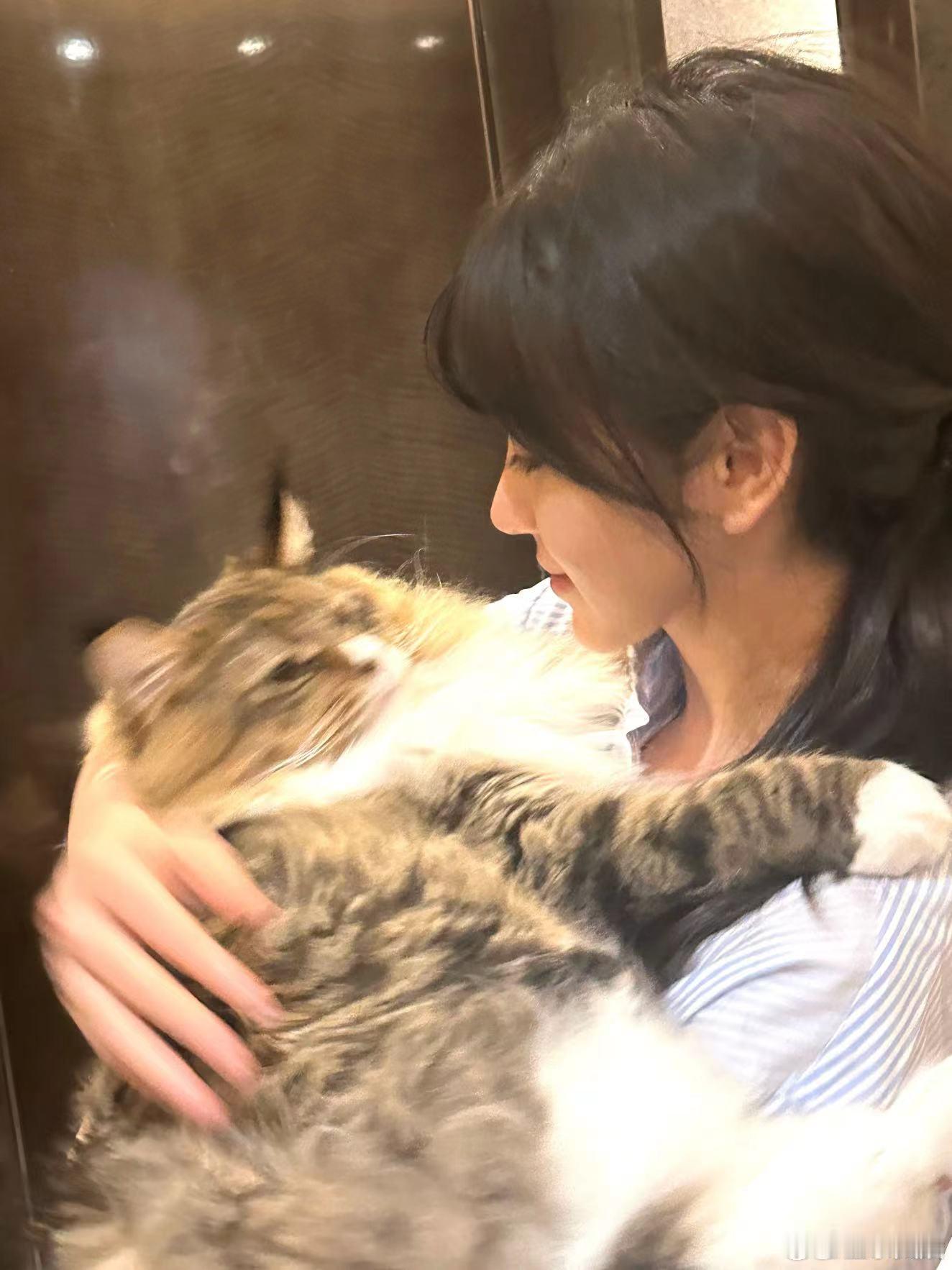 #田曦薇抱了好大一只猫##田曦薇的猫身高一米九六#田曦薇抱猫温柔极了，和猫咪如同