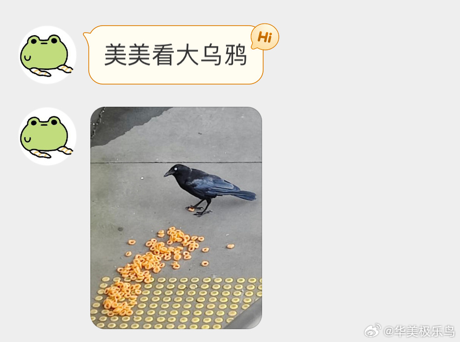 鸦鸦的加餐时刻🙊 ​​​