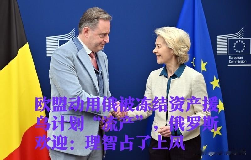 ‌欧盟动用俄被冻结资产援乌计划“流产” 俄罗斯欢迎：理智占了上风‌

   据外