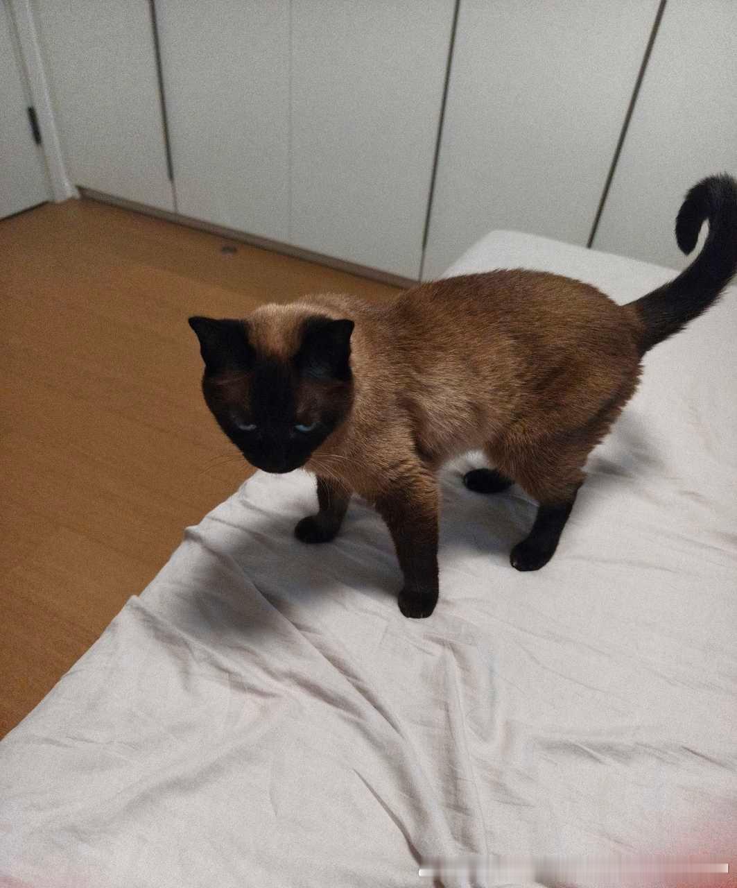 早安逼罗