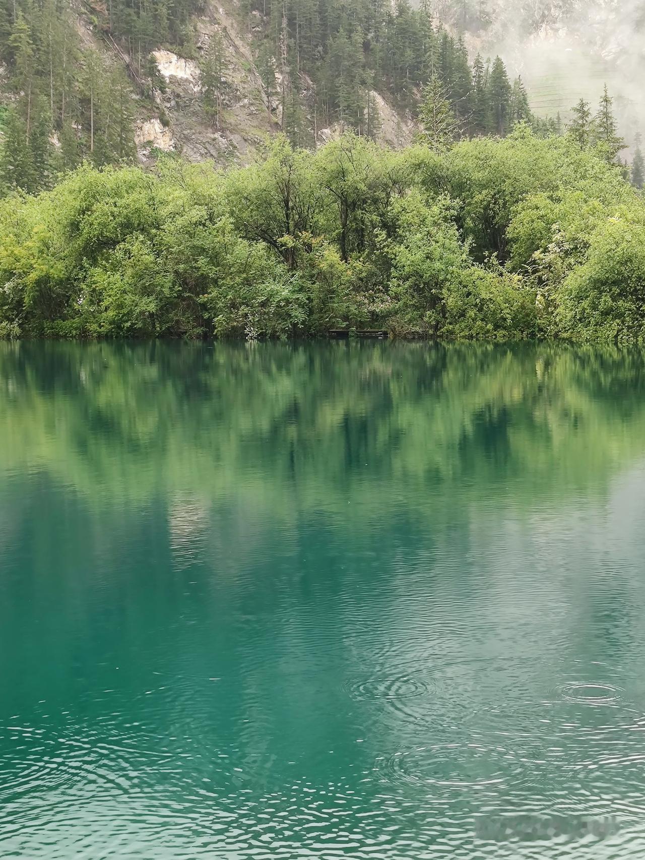 又到了七月流火的月份。此时我突然想起了相声界引人关注的7月风波。一转眼已经过去了