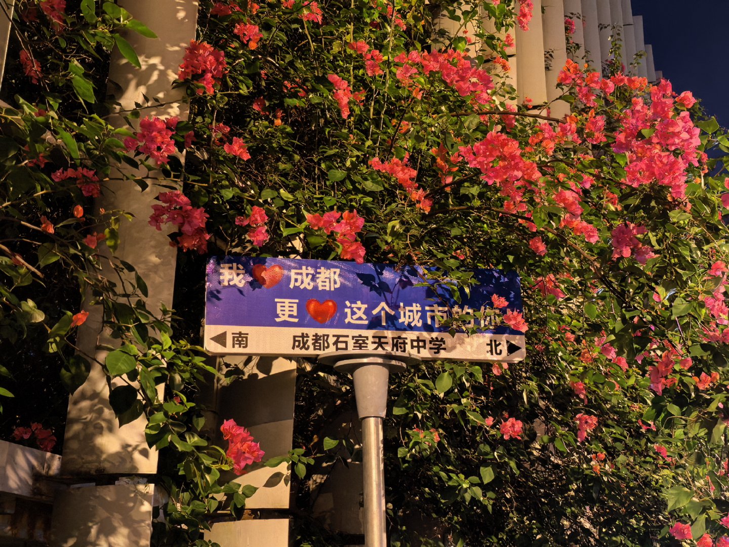 我其实只要一有时间吧，就喜欢吃完饭出来走走路，或者去钓鱼！我特别喜欢逛一些商场，