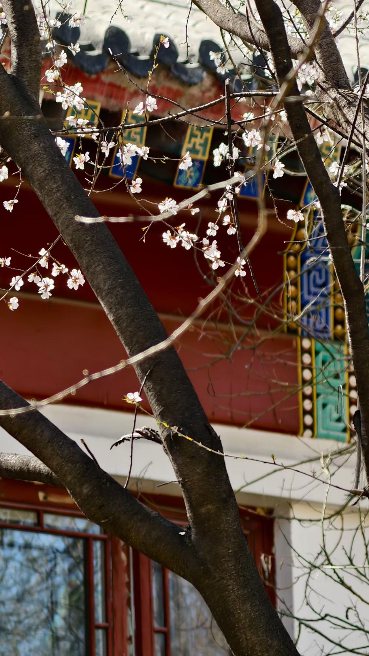 涑堤云懒人恍惚，水鸟惊起入空无。
​雨后野桃花凌乱，半杯浊酒慰世俗。

​——老