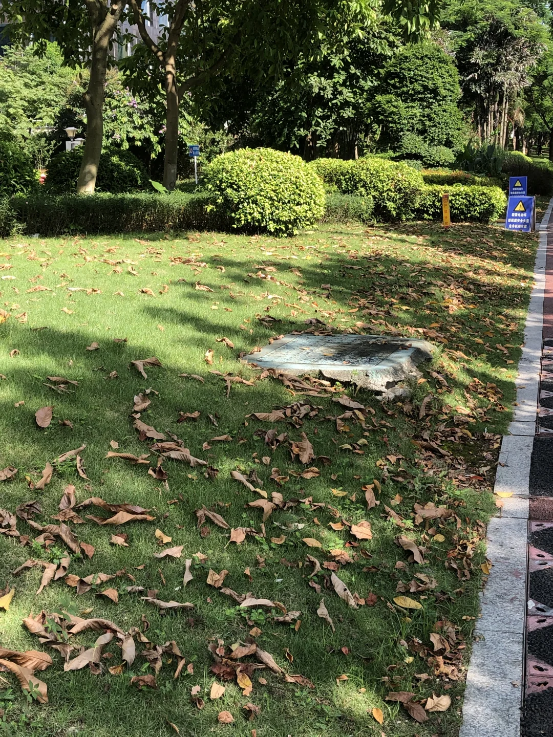 秋天的前奏🍂