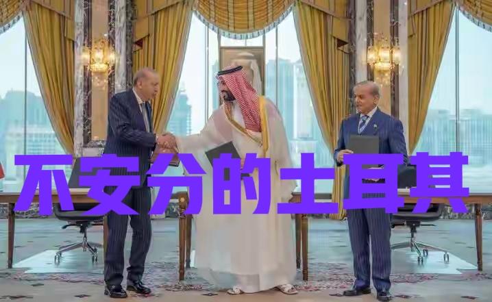 土耳其要搅乱北约吗？下面逻辑对吗？
A，8月7日土耳其同沙特阿拉伯和巴基斯坦签署