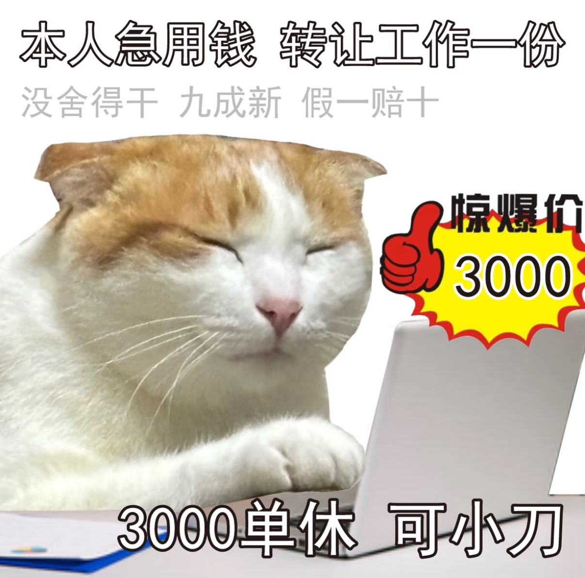 出闲置：一个工作名额只出工作，不出工资，需要联系 