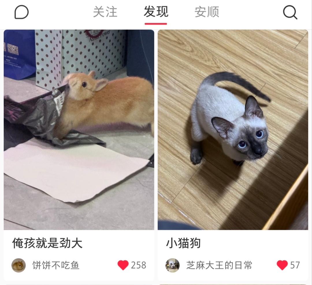 积累