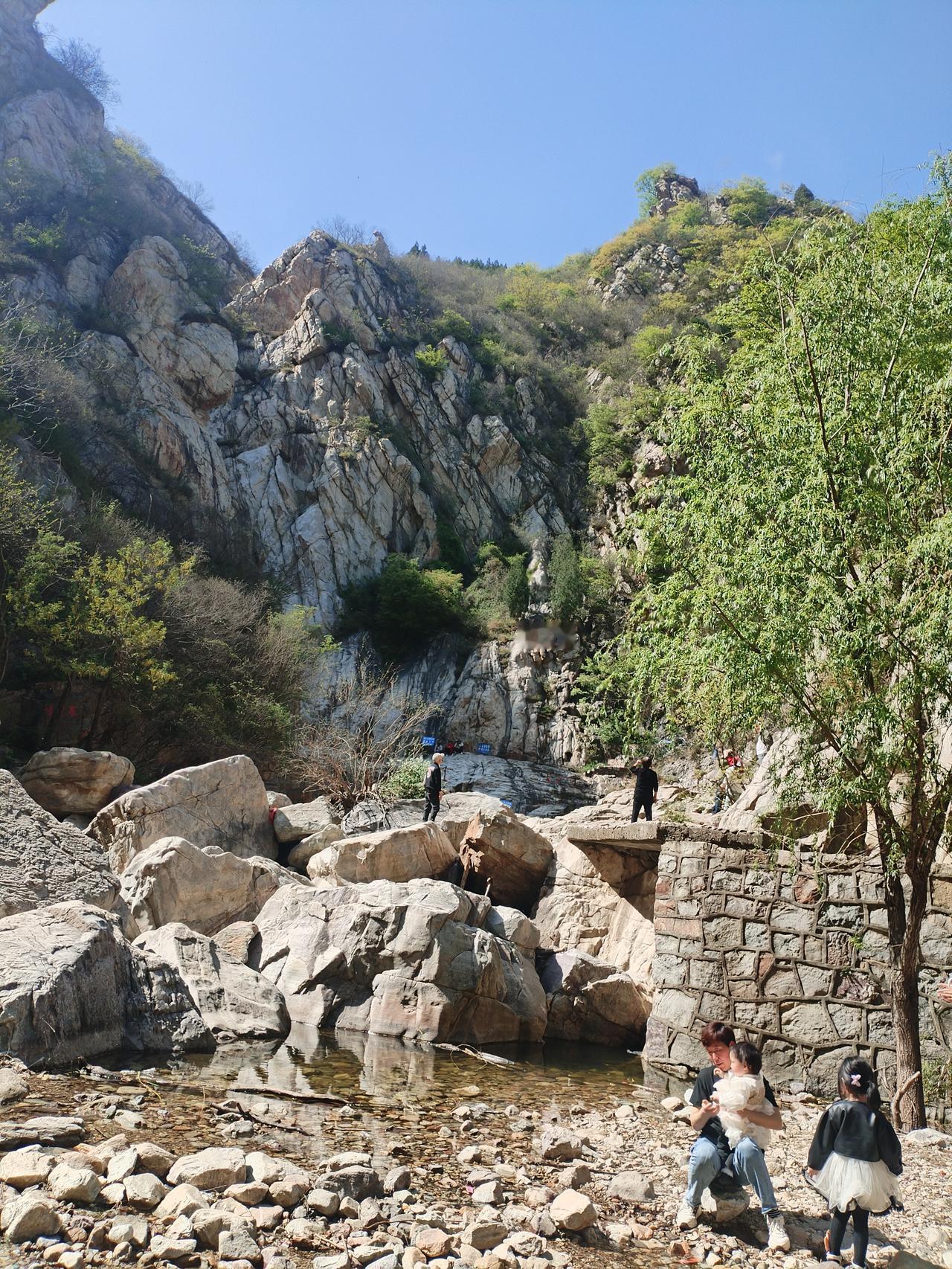 春日生活打卡季