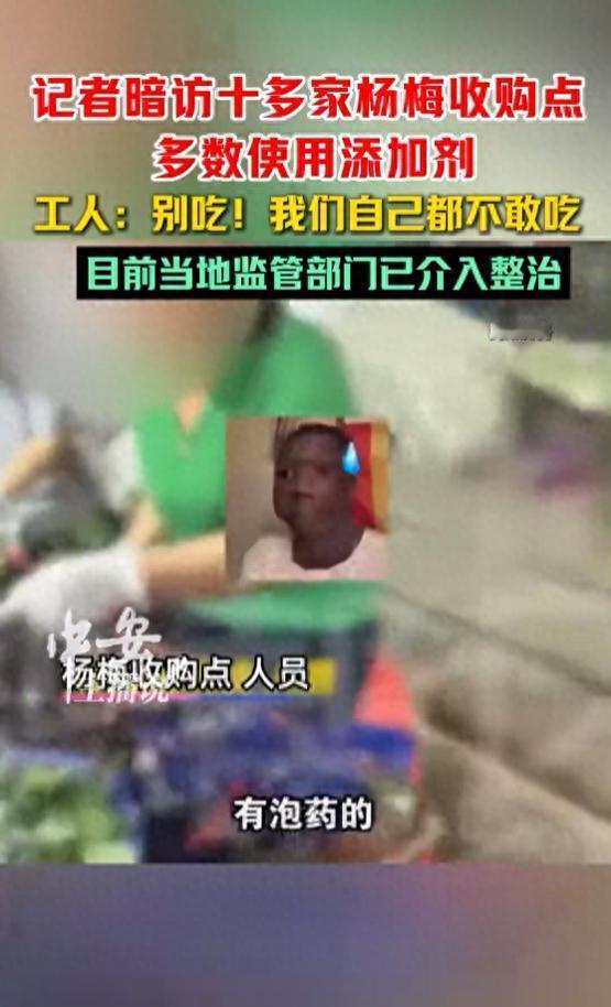 2026年第一个塌房的水果来了！它就是杨梅。

记者暗访了十几家福建漳州杨梅收购