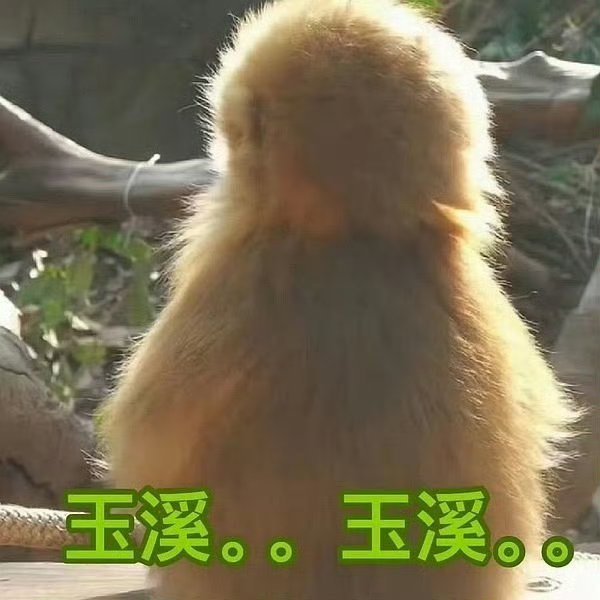 禹兮……禹兮…… 