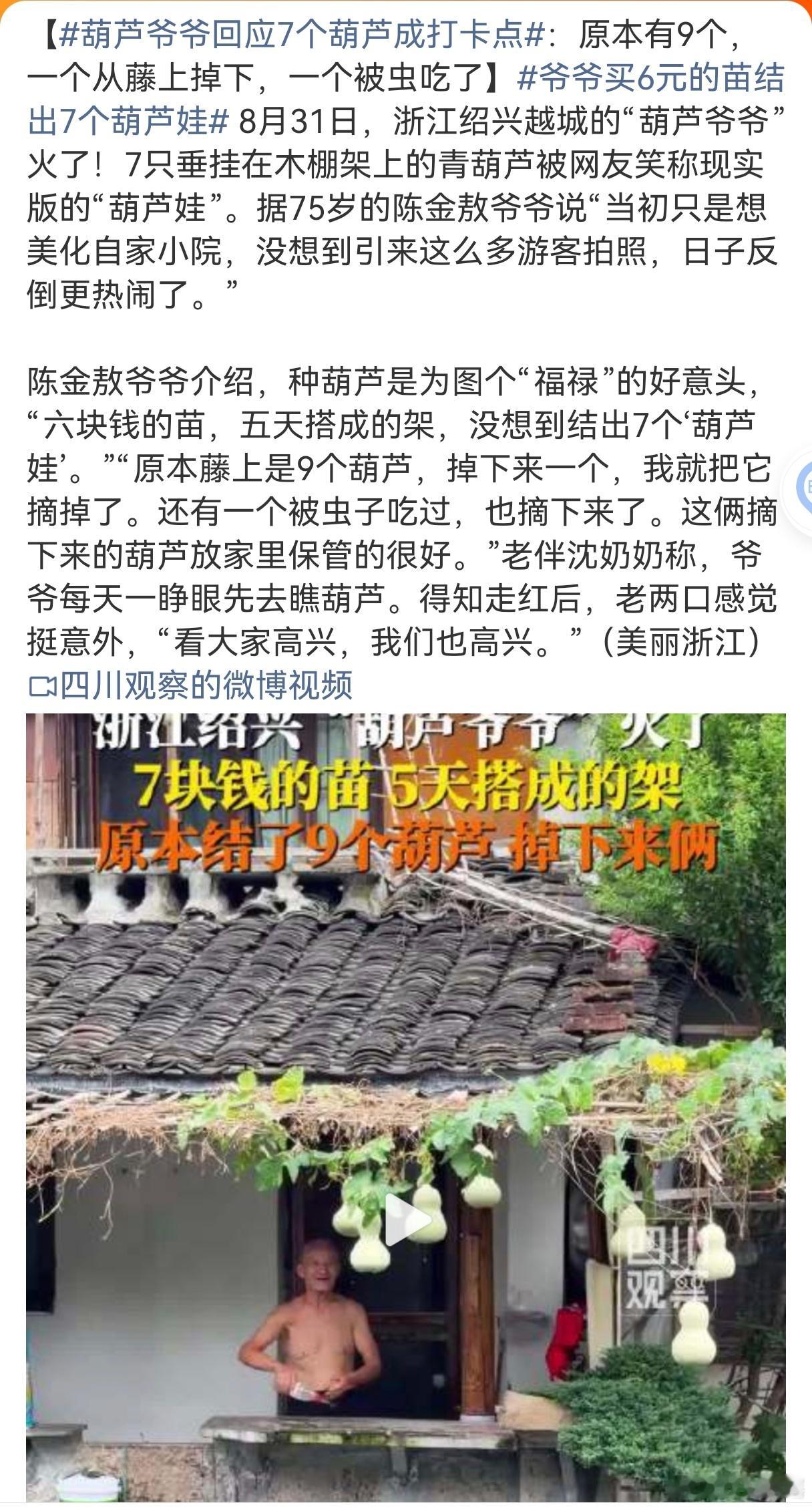 爷爷买6元的苗结出7个葫芦娃浙江绍兴75岁陈金敖爷爷火了，花6元买来葫芦秧苗，花