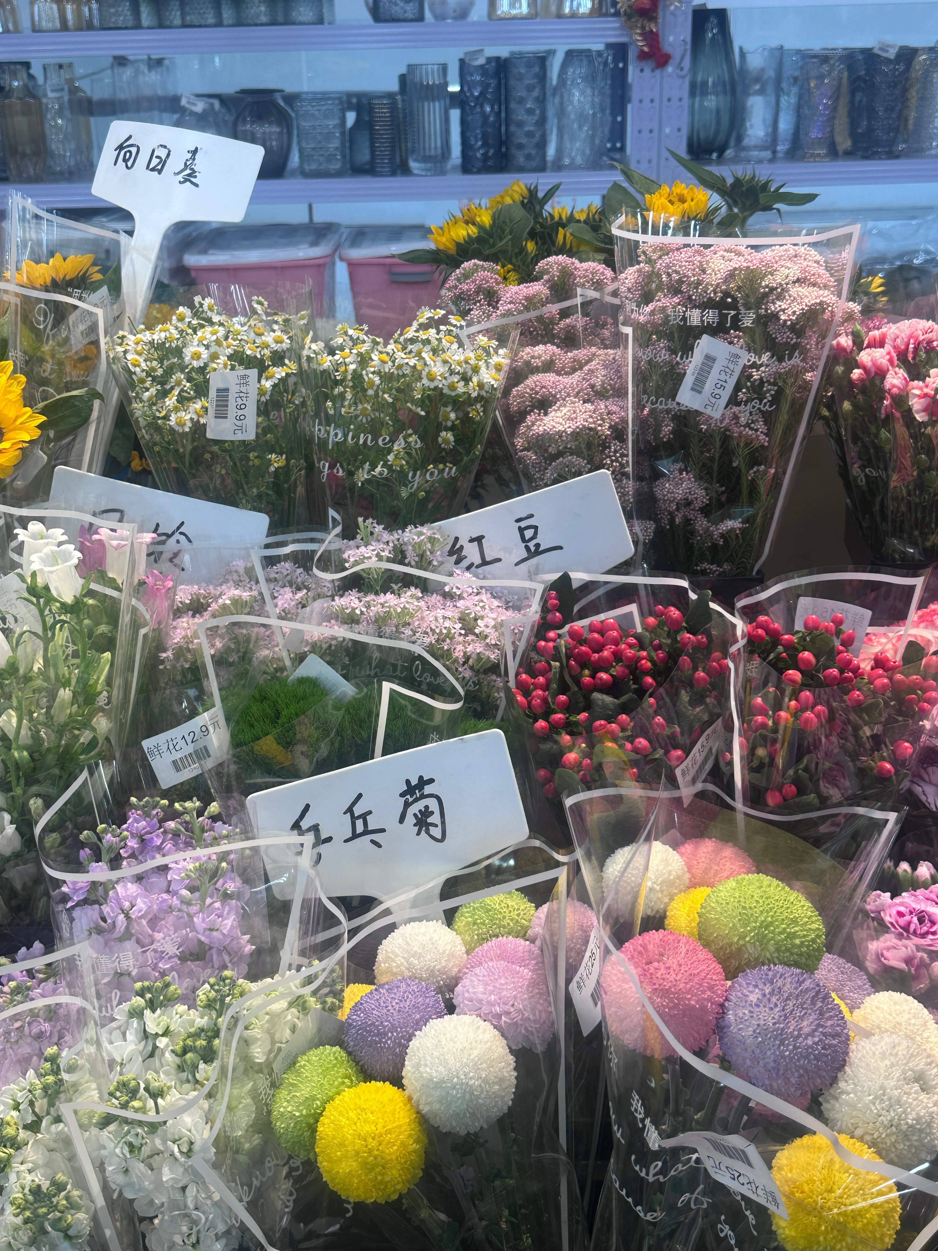 苏新皓跟穆祉丞两家谁赢了 