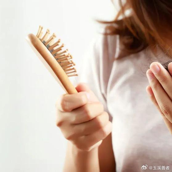 《春天的“头发”，为什么留不住？》春天，万物复苏，树木抽芽，大地焕发出勃勃生机。