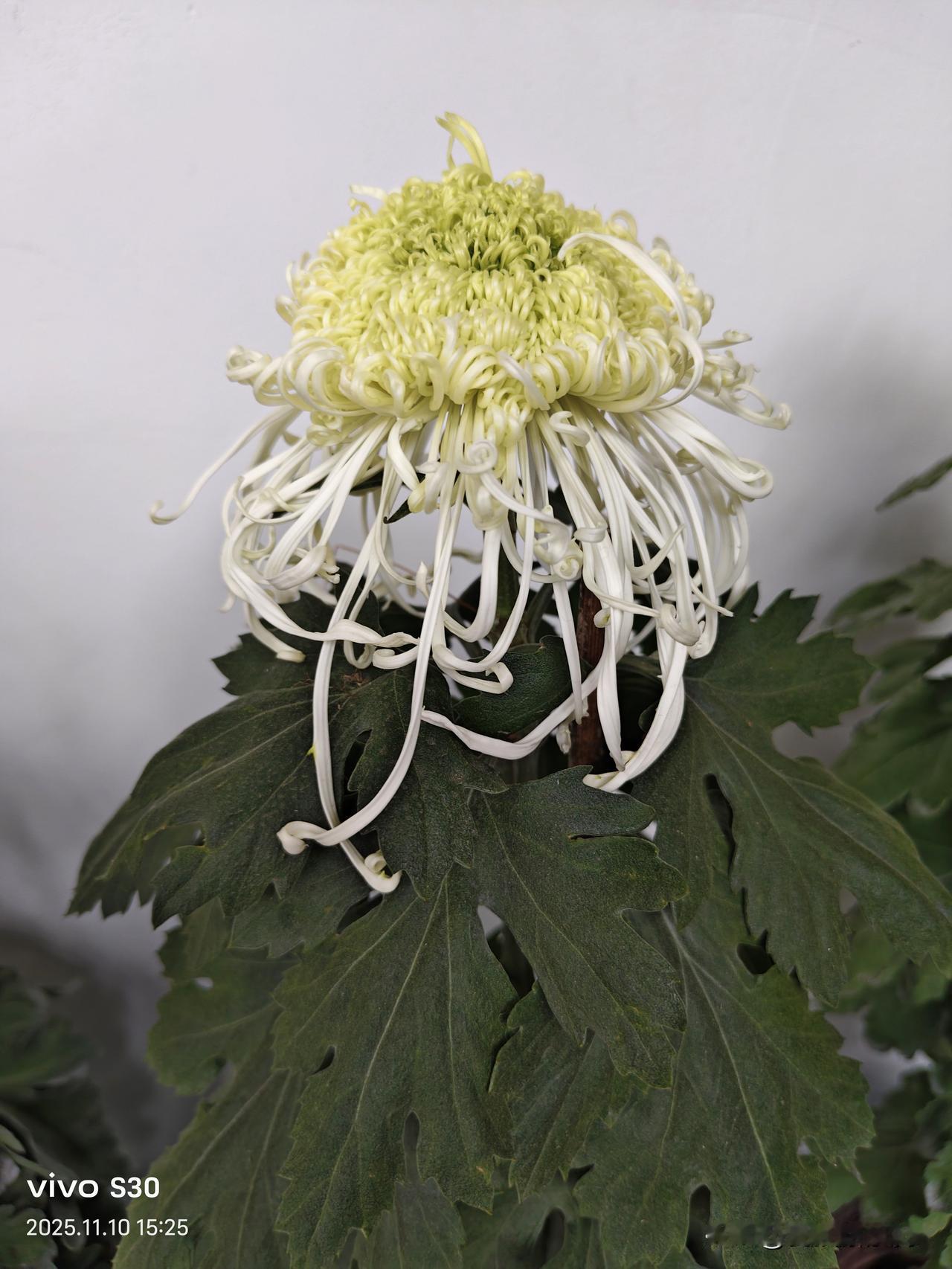 家乡都有好风光