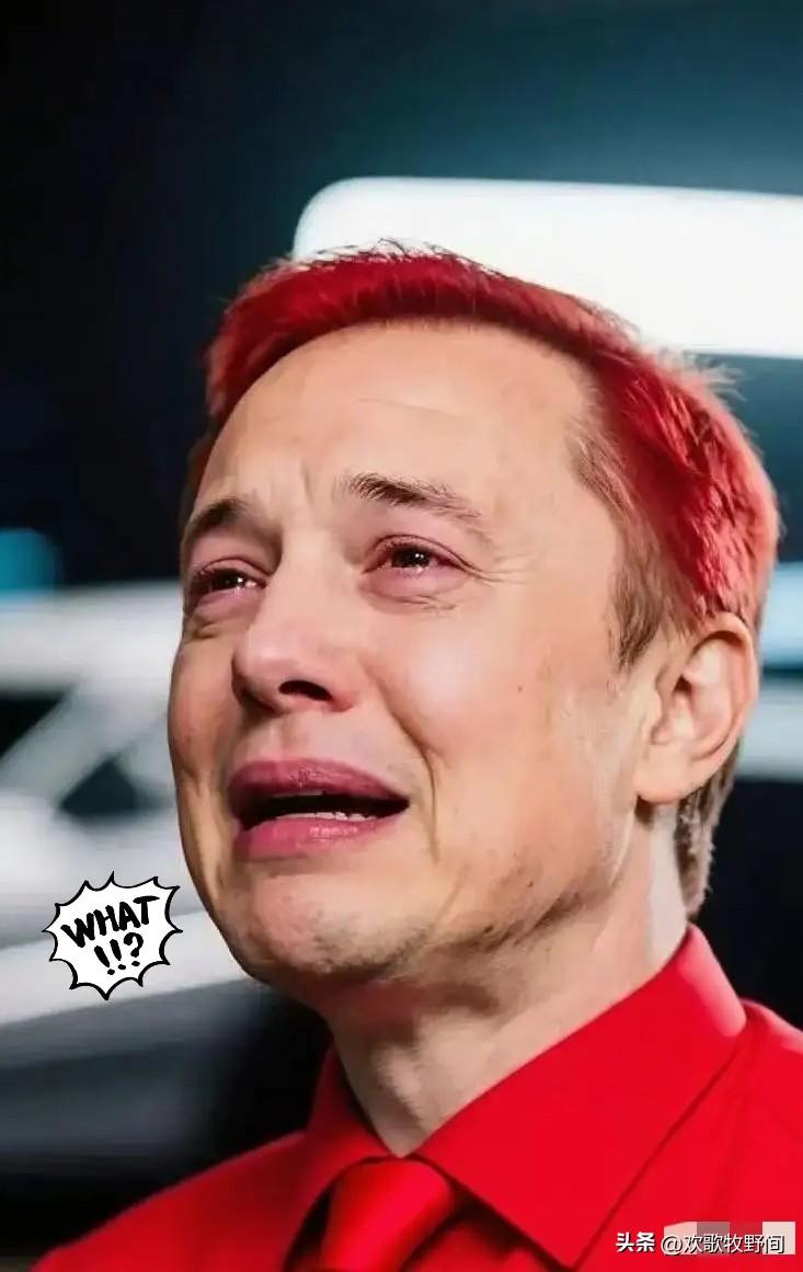 马斯克罕见服软！
3月13日，据财联社援引欧盟委员会最新表态，那个一向硬刚到底的