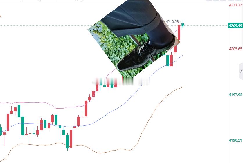 机构你吸筹就吸筹，能不能不要在我们进场的时候，去搅乱行情，我直接拿出我43码的切