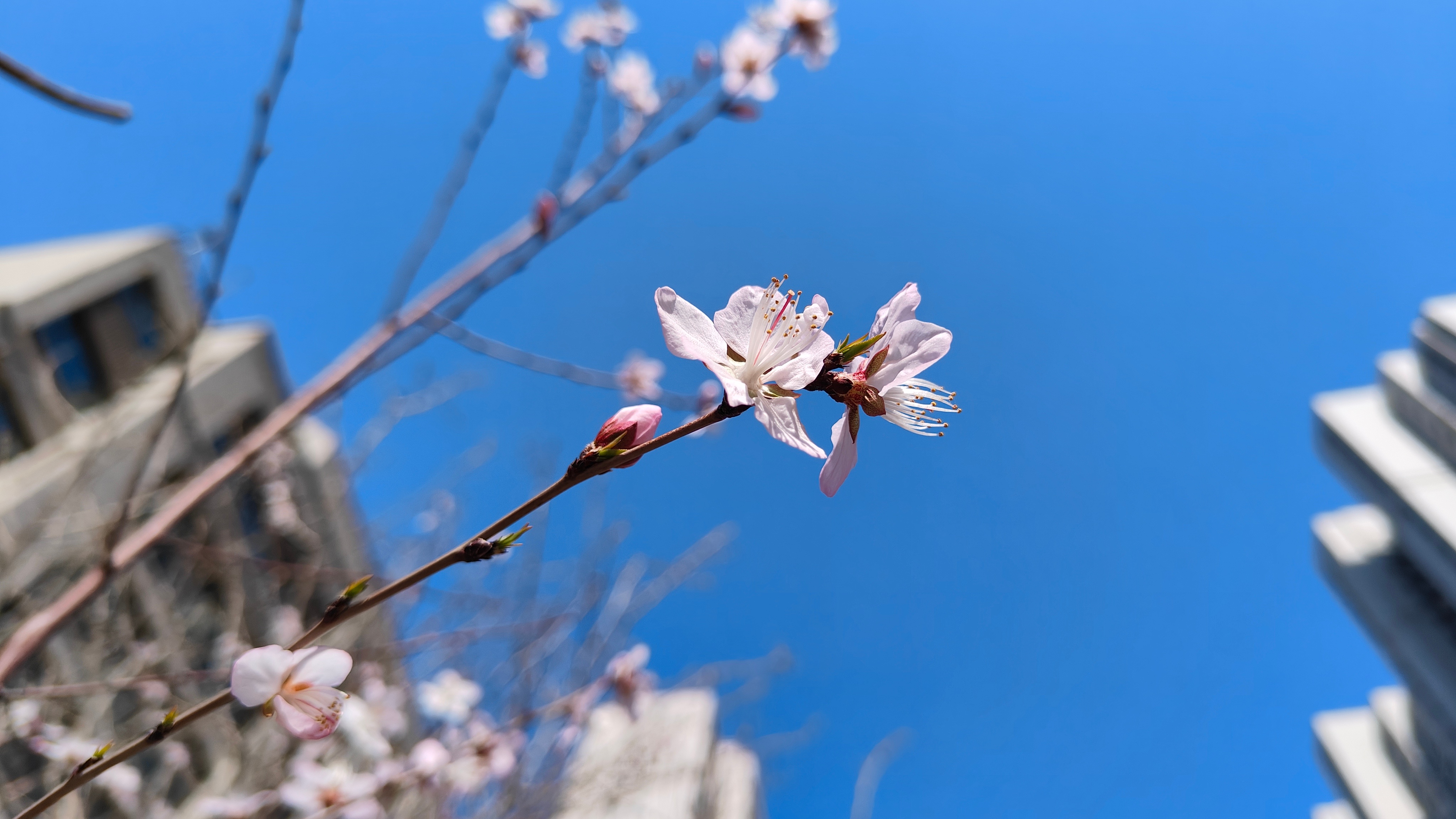 早安 只要面对着阳光努力向上，日子就会变得单纯而美好。早安 