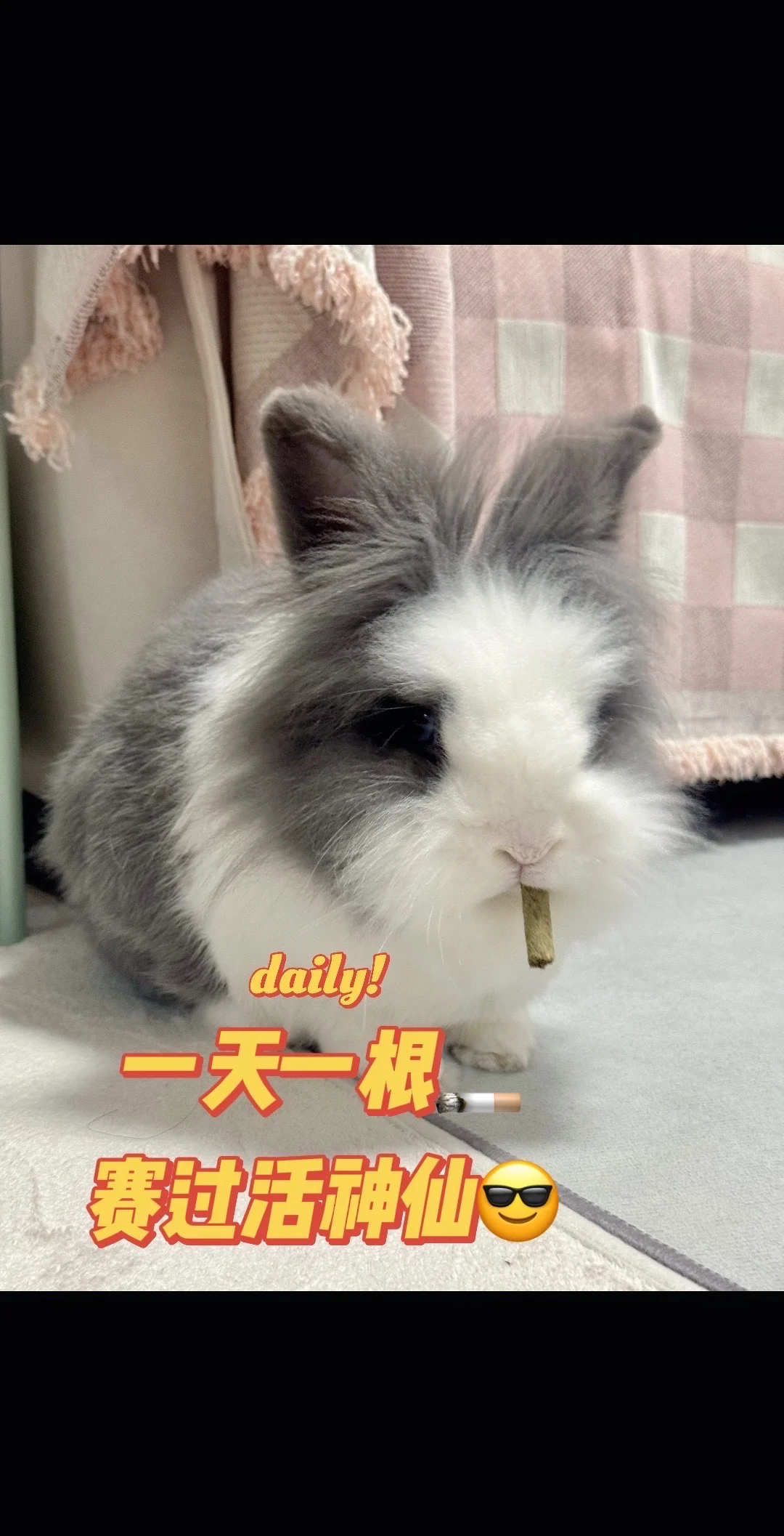 好日子都让你过了~~~