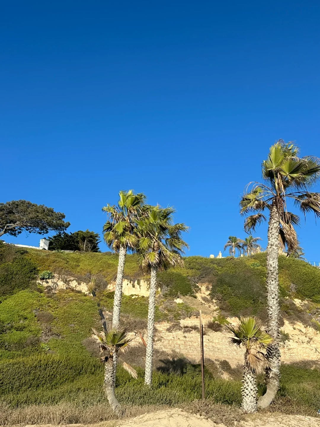 The sky’s more blue in Malibu