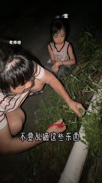 广东，奶奶带着小孙女蹲在路边，手里拿着剪刀咔嚓咔嚓剪着路边的草。小女孩蹲在一旁，