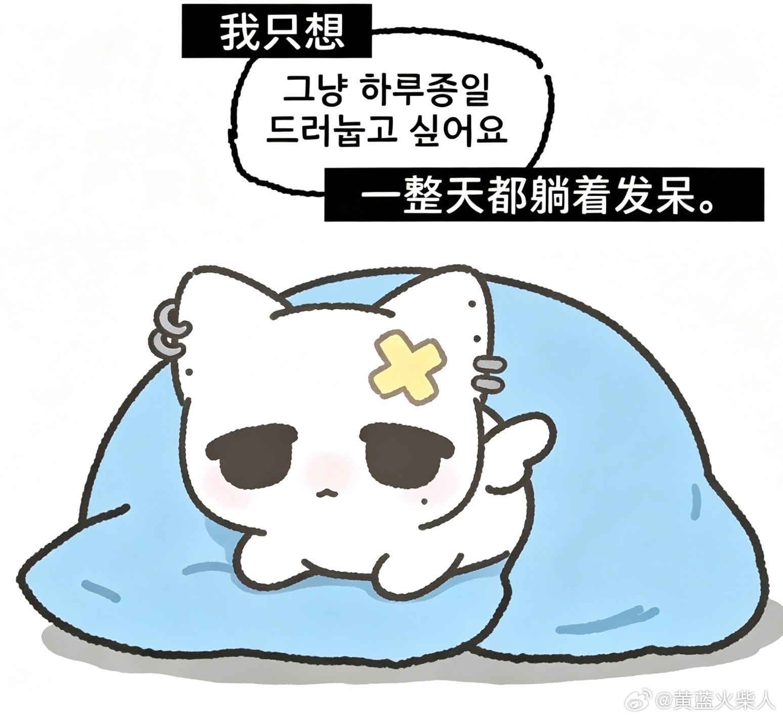 为朱志鑫守护星愿每日 ​​​