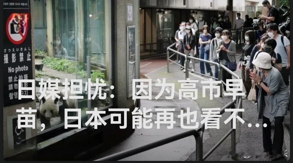 日媒担忧：因为高市早苗，日本可能再也看不到大熊猫了

   据外媒据共同社11月