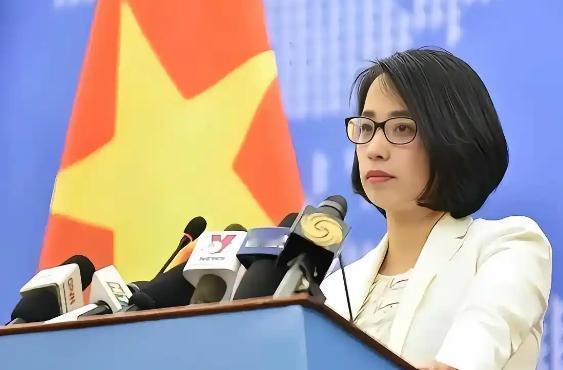 太平岛炮声一响，越南率先跳出来叫阵。守了七十年的地盘，它凭啥管？这一闹，反倒撕开