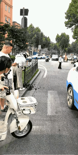 武汉江汉路步行街是人流量极大的商圈，一位大妈蹲在绿化带旁边，现场展示给狗剃毛的绝