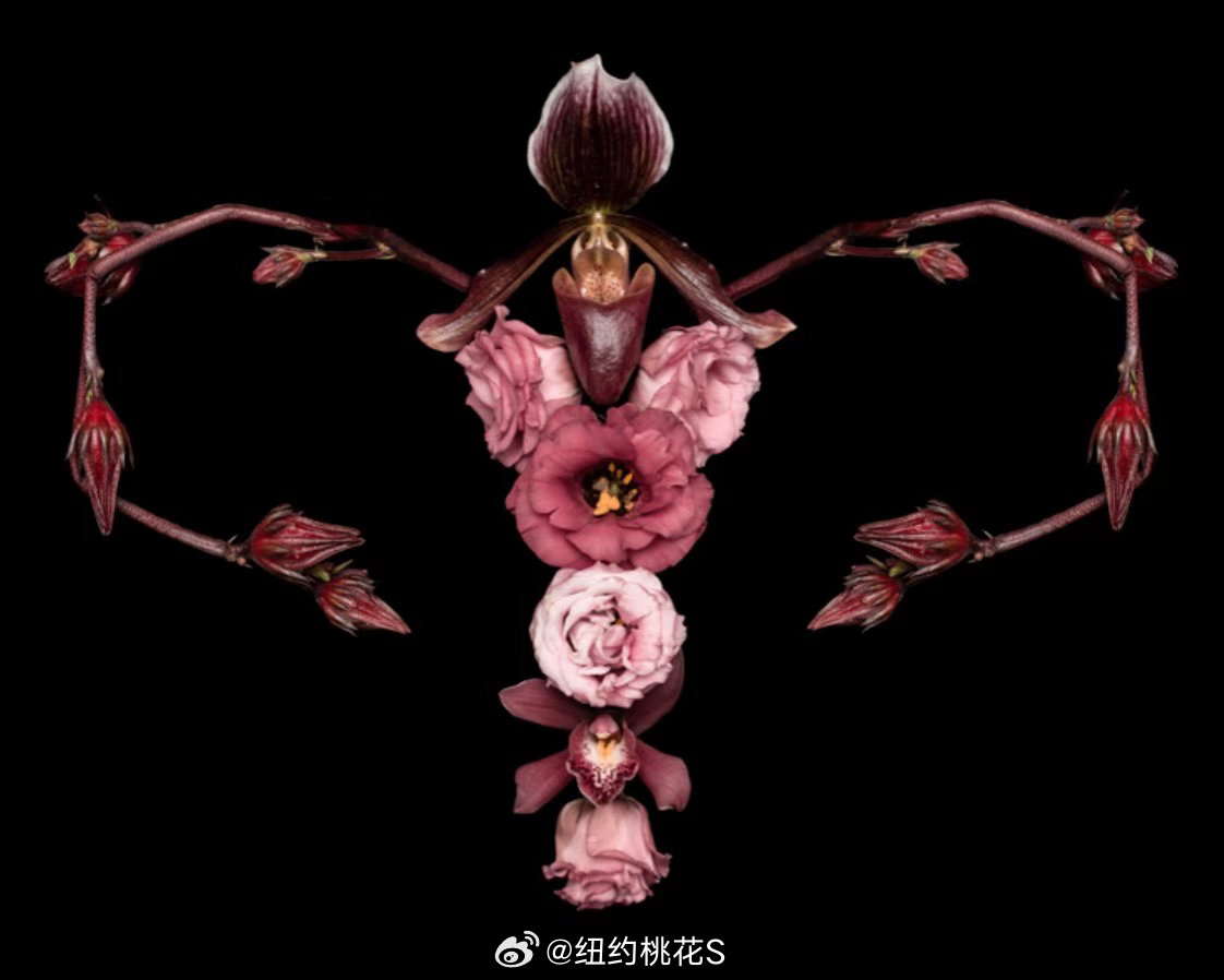 巴西跨媒介艺术家  Catharina Suleiman 创作的《Blossom
