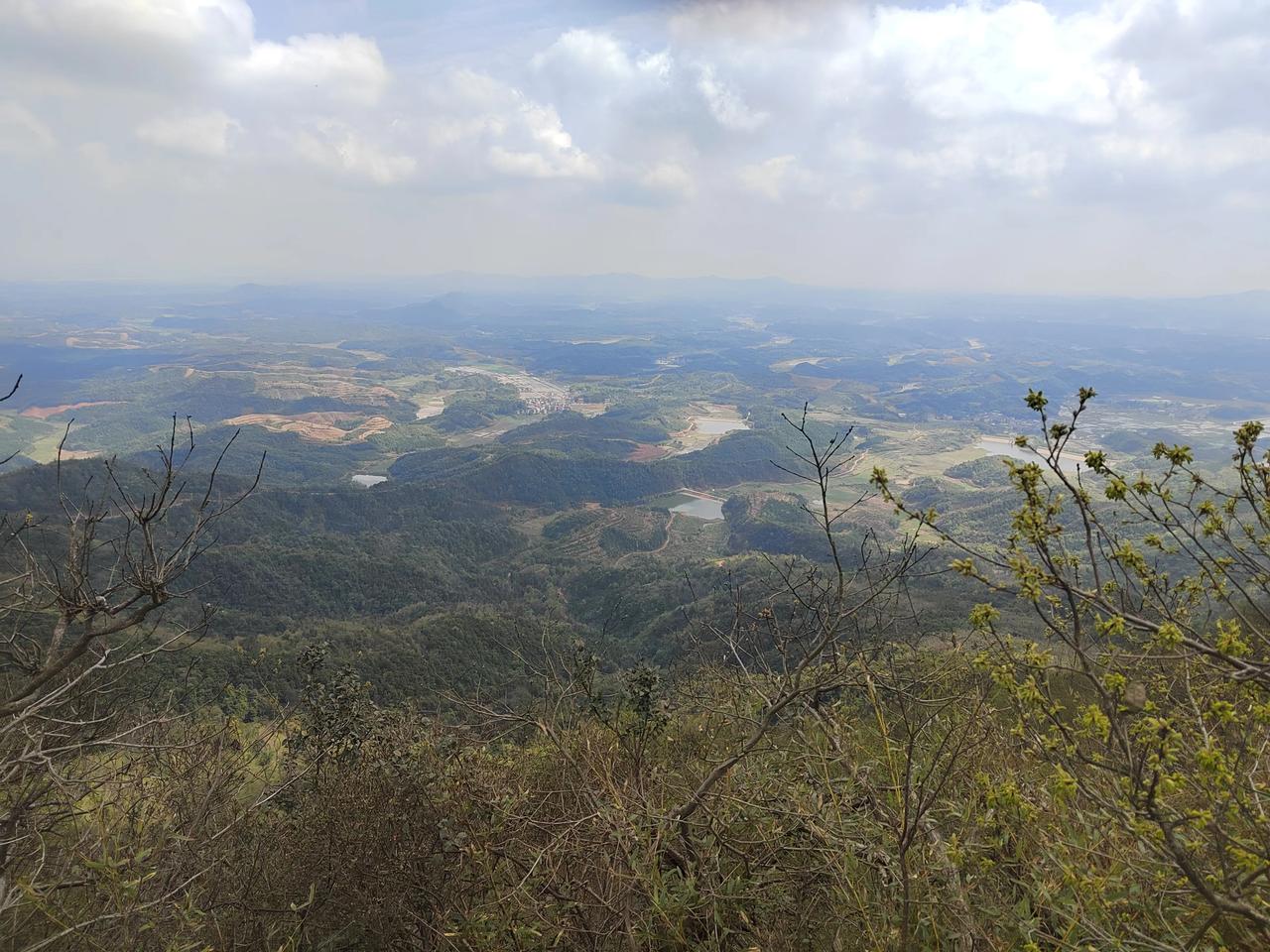山上有大片大片的映山红，现在已初步开放，山顶上则是含苞待放，两周后，定会红遍整个