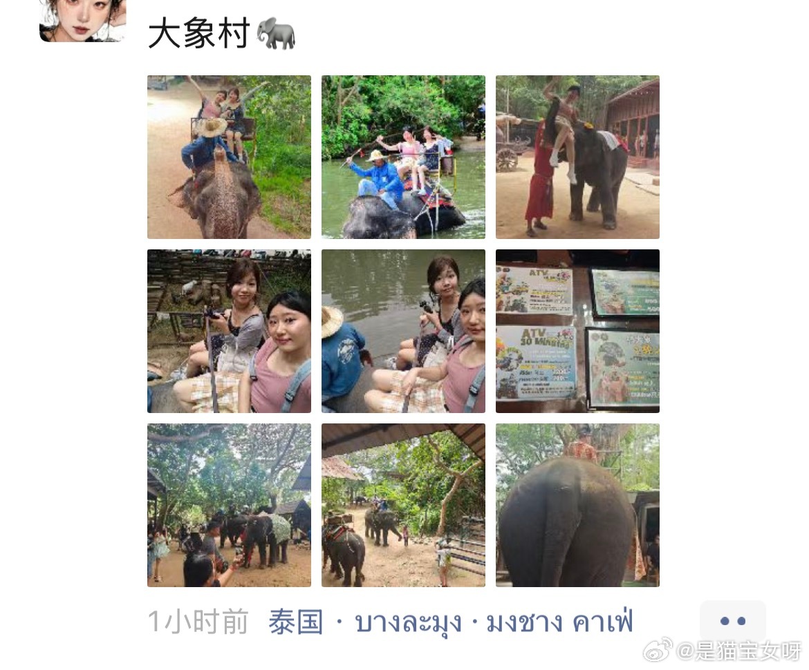 这种朋友真想删。。中国人到现在还在国外骑大象 三亚
