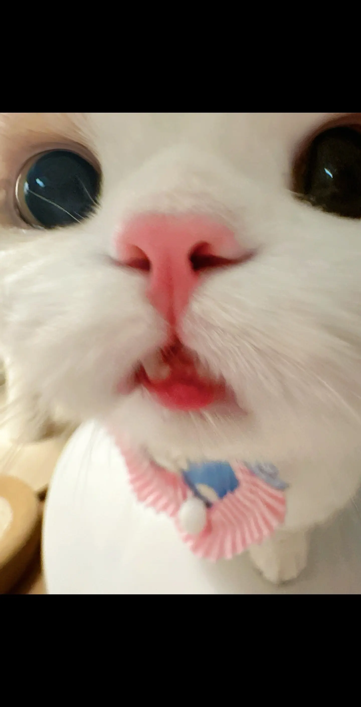 小表情咋这么多！