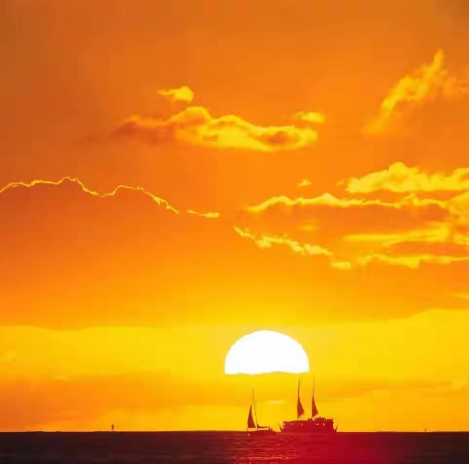 


这种冬季易缺的“维生素D”，被证实与多种疾病相关