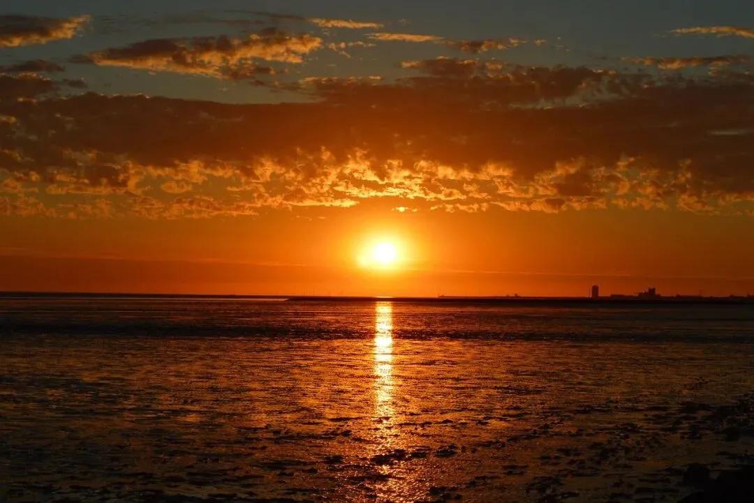 饿着肚子的人，谈什么风花雪月？空米缸前，深情、志向、善良，都成了最奢侈的装饰。现