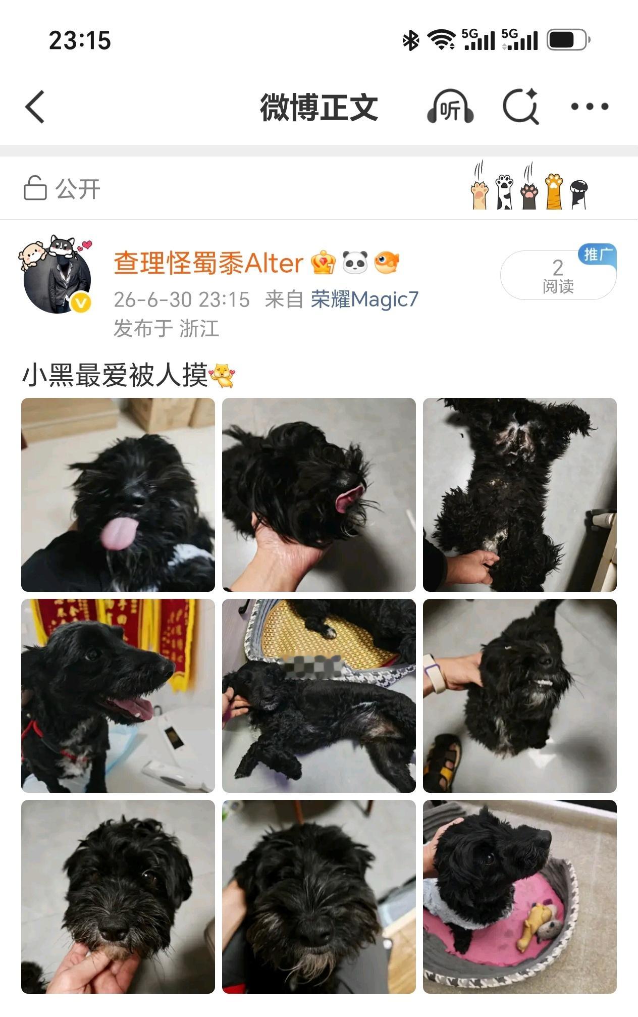 狗都进化出独立的肌肉群了呀我就说狗的面部表情比猫丰富多了