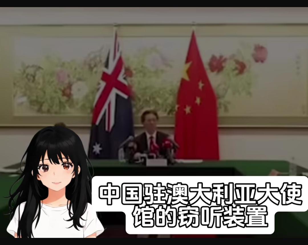 该事件主体为真实历史：上世纪八九十年代，[发怒]美澳情报部门趁中国驻澳堪培拉大使