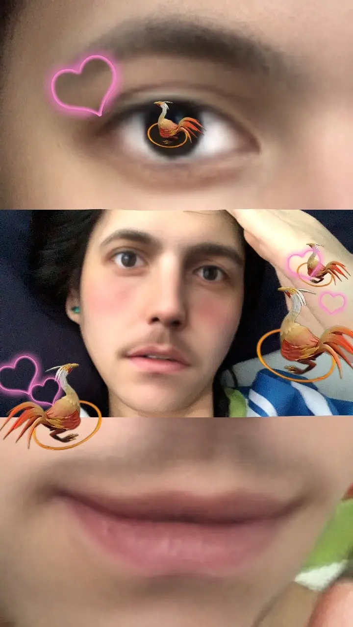 烧鸡原来是你啊..哈哈 我刚刚路过发育路在鸡窝看见你 你还是那么美丽 ...