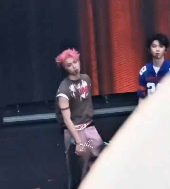 刘耀文粉发你们去新音的吃的真好