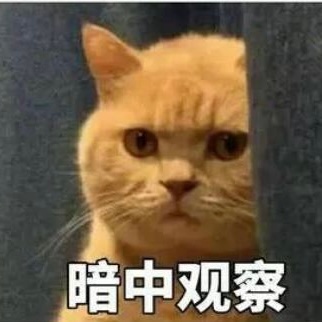 大家来找一下哪一只咪是周柯宇吧周柯宇小城春色 /周柯宇周正