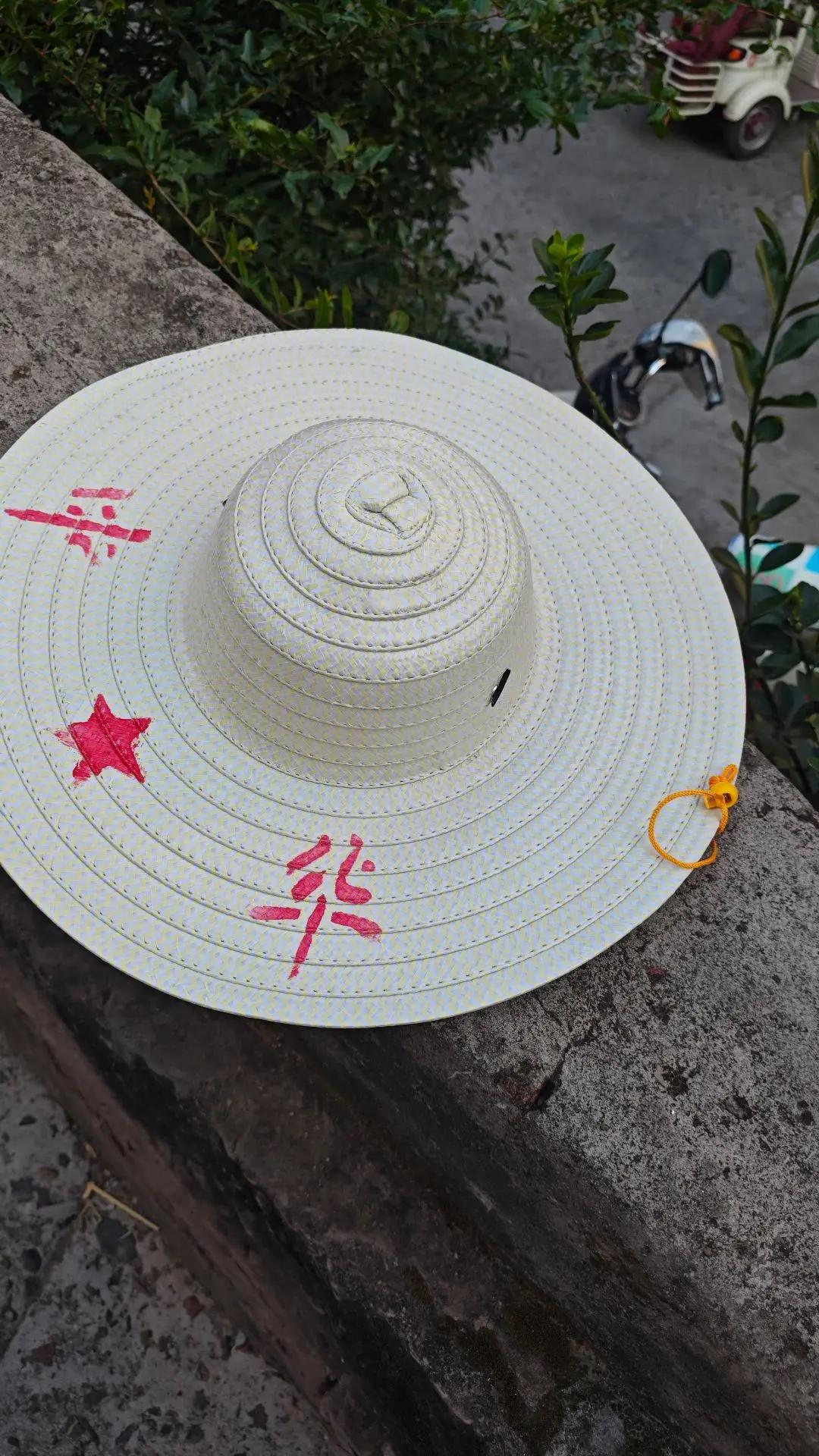 本地海贼  王路飞 我为祖国寻宝藏海贼王 草帽