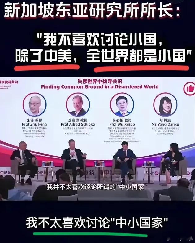 美国学者到新加坡参加论坛，现场直言：除了中美之外，我不喜欢谈论中小国家。全世界除