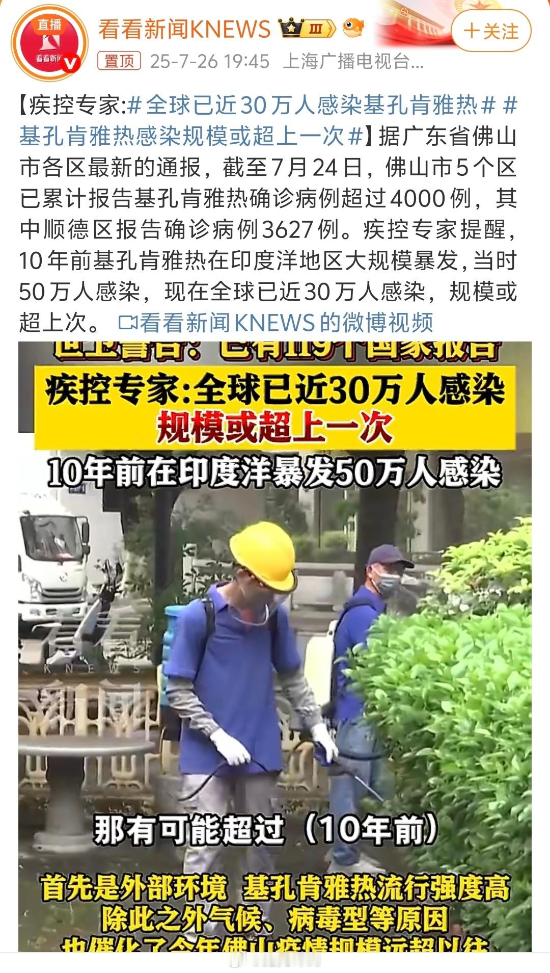 全球已近30万人感染基孔肯雅热截至7月24日，累计确诊超4000例（顺德区362
