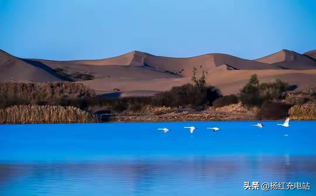 打脸西方！中国硬核“逆天改沙”，即将消灭第二个沙漠！
 
西方专家口中的“反人类