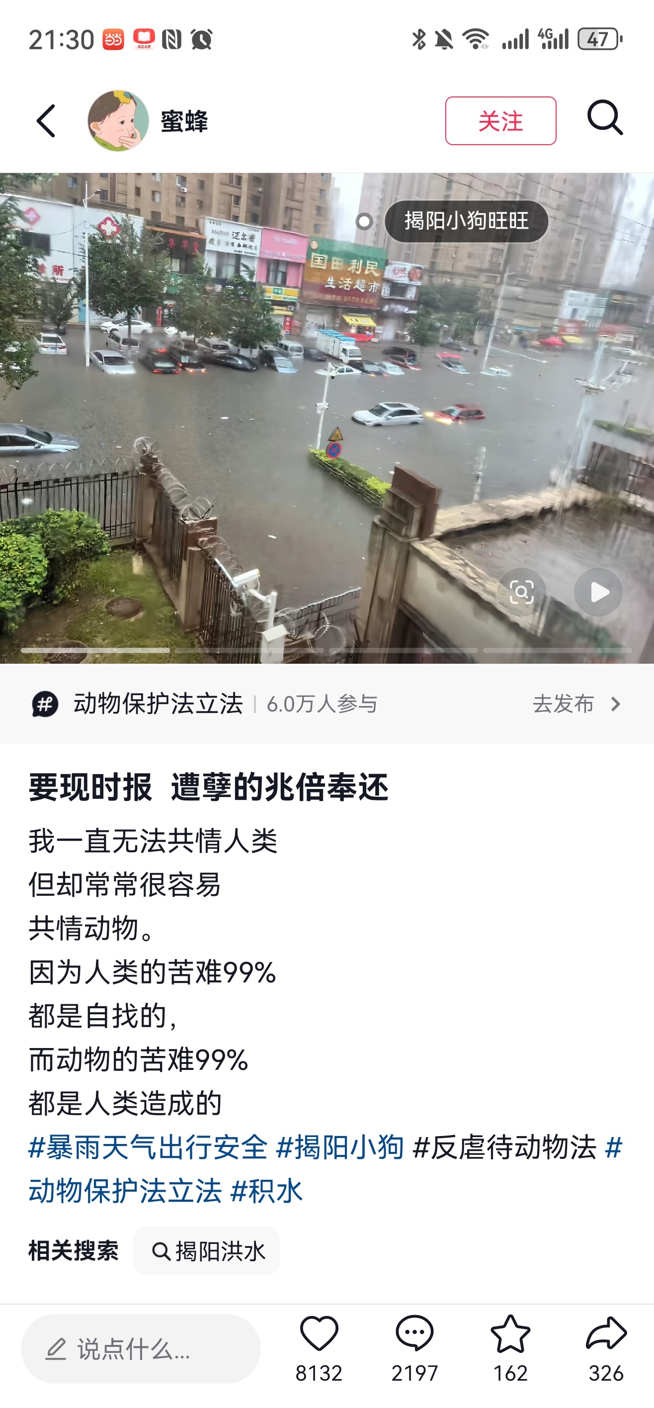 这些动保借着广西水灾作妖呢 