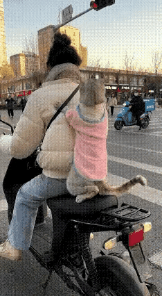这个视频太棒了

女子骑车带着小猫咪在等红绿灯，猫咪抓住女子的衣服，双脚却不停的