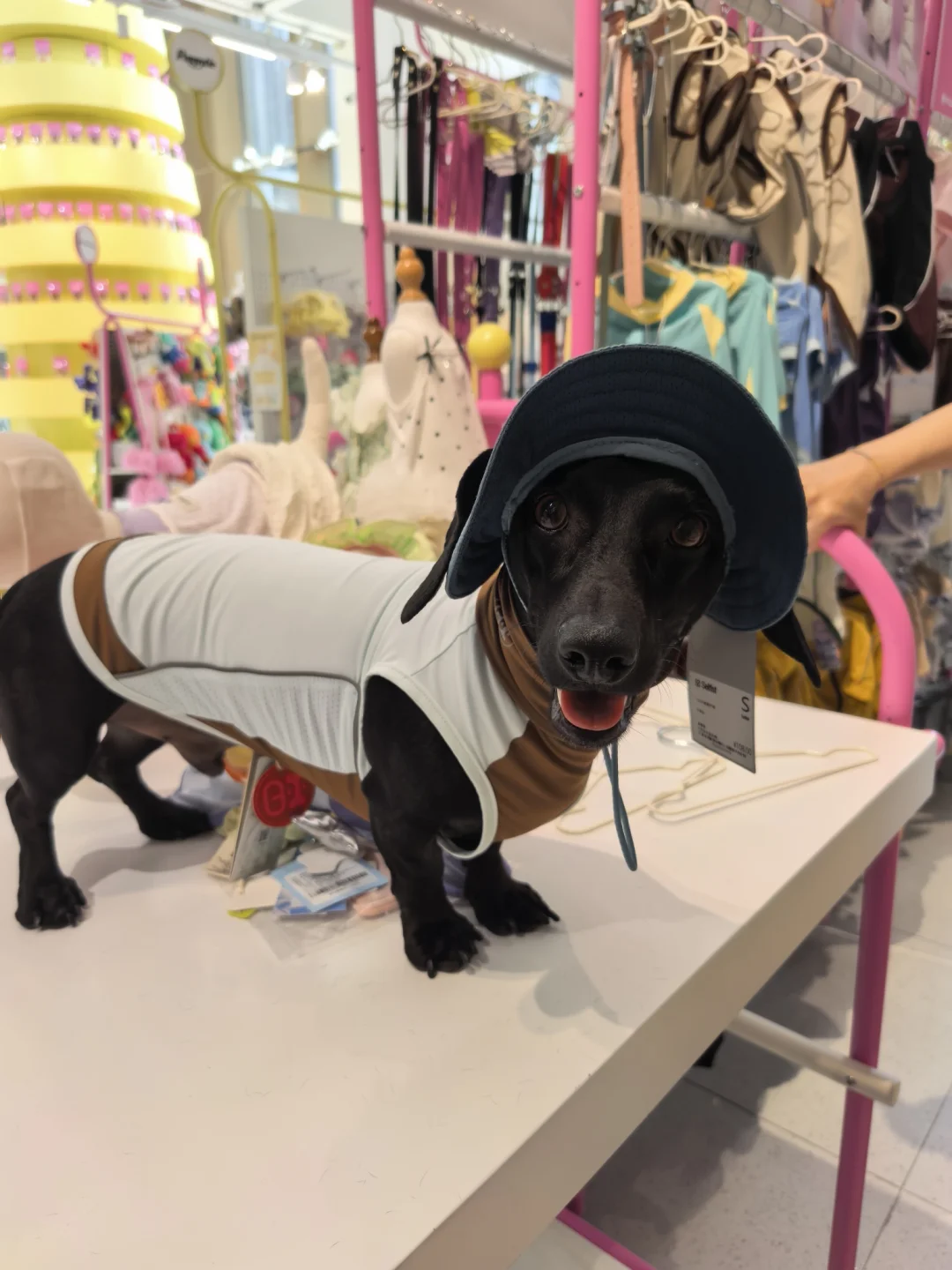 太爱给孩子买衣服了怎么办？
