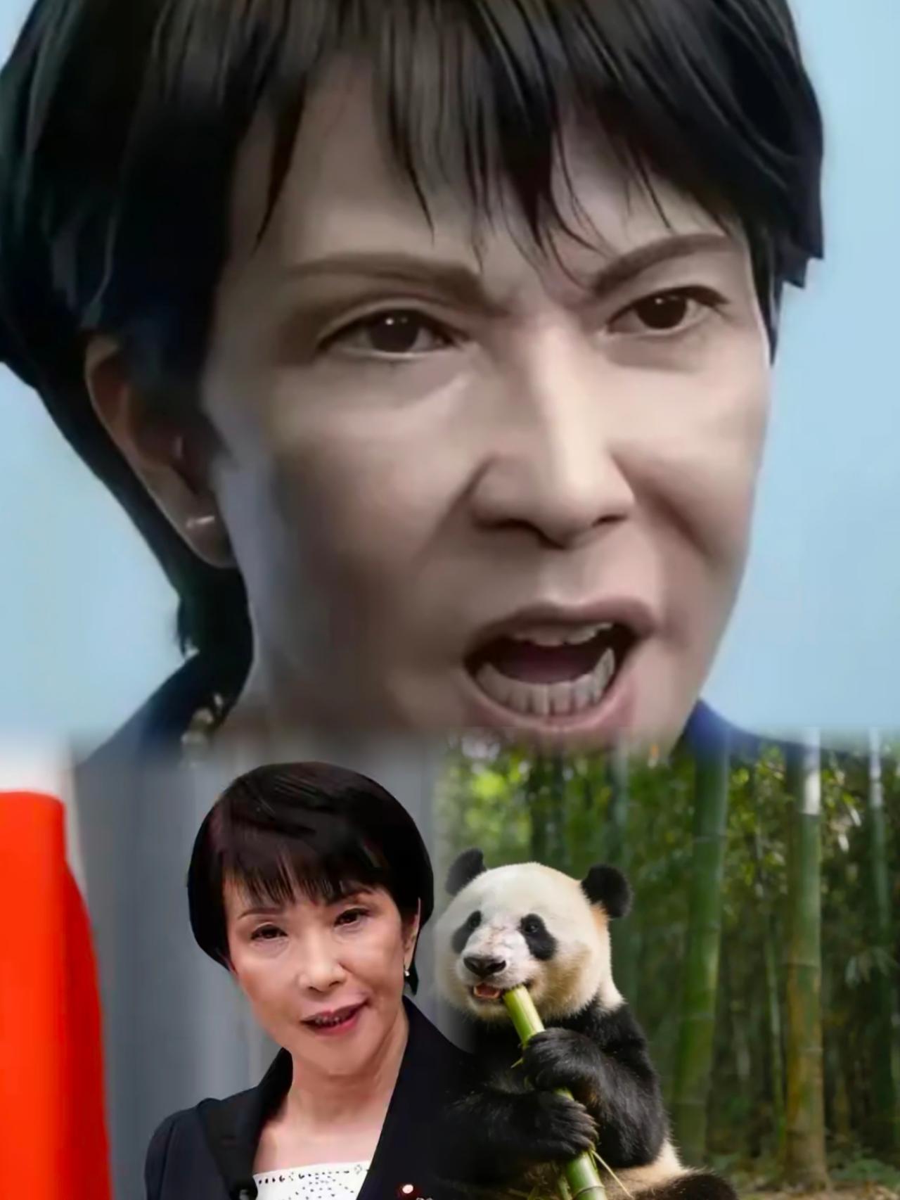 快讯！快讯！

这次日本网友怕是真的要彻底破防了。

12月15日东京都直接官宣